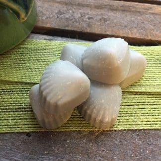 6 Blueberry and Vanilla Wax Melts