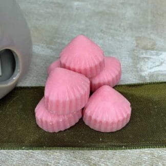 6 Pink Champagne and Pomelo Wax Melts