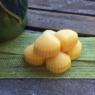6 Sparkling Lemon Wax Melts