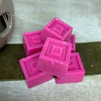 6 Watermelon Wax Melts