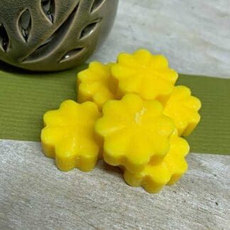6 Citronella Wax Melts