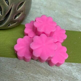 6 Fairy Dust Wax Melts