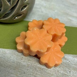 6 Orange Blossom Wax Melts