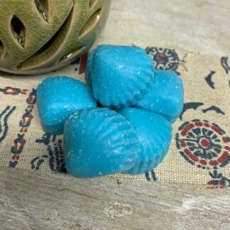 6 Paradise Beach Wax Melts