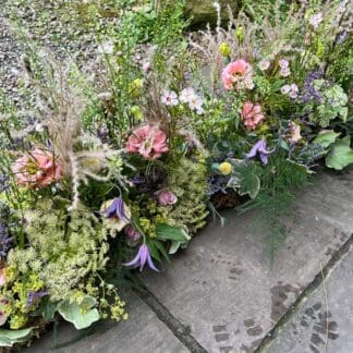 Wildflower Meadow Workshop Thursday 6th August 2026