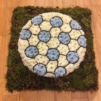 SFCUSTS04 Football - Flat