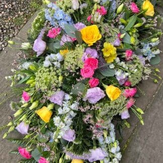 SFS-DEV Vibrant Spray