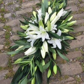 SFS-DEW White Sprays