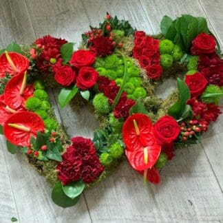 SFS-DOH Double Open Heart