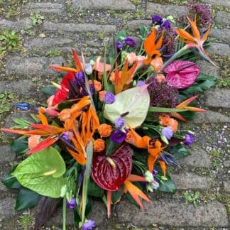 SFS-SEM Mixed Single Ended Spray