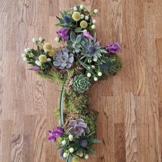 SFS-ECO A Succulent Cross