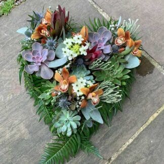 SFS-ECO-D-Succulent-Heart